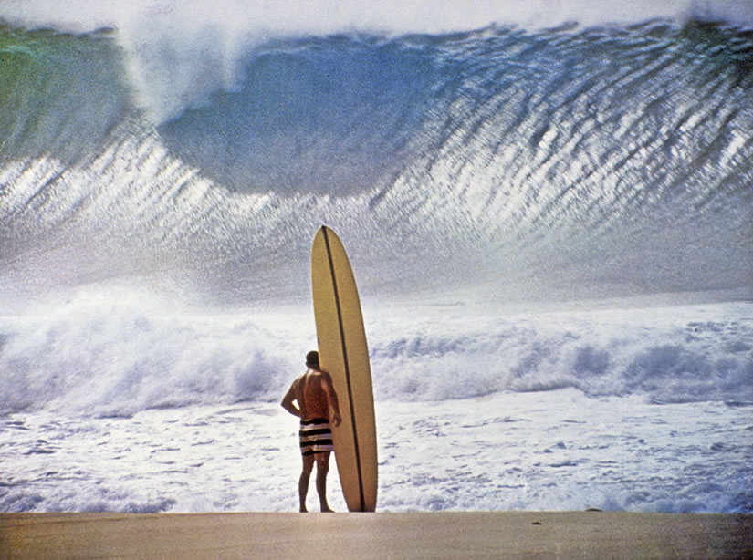 Greg Noll Surfboards
