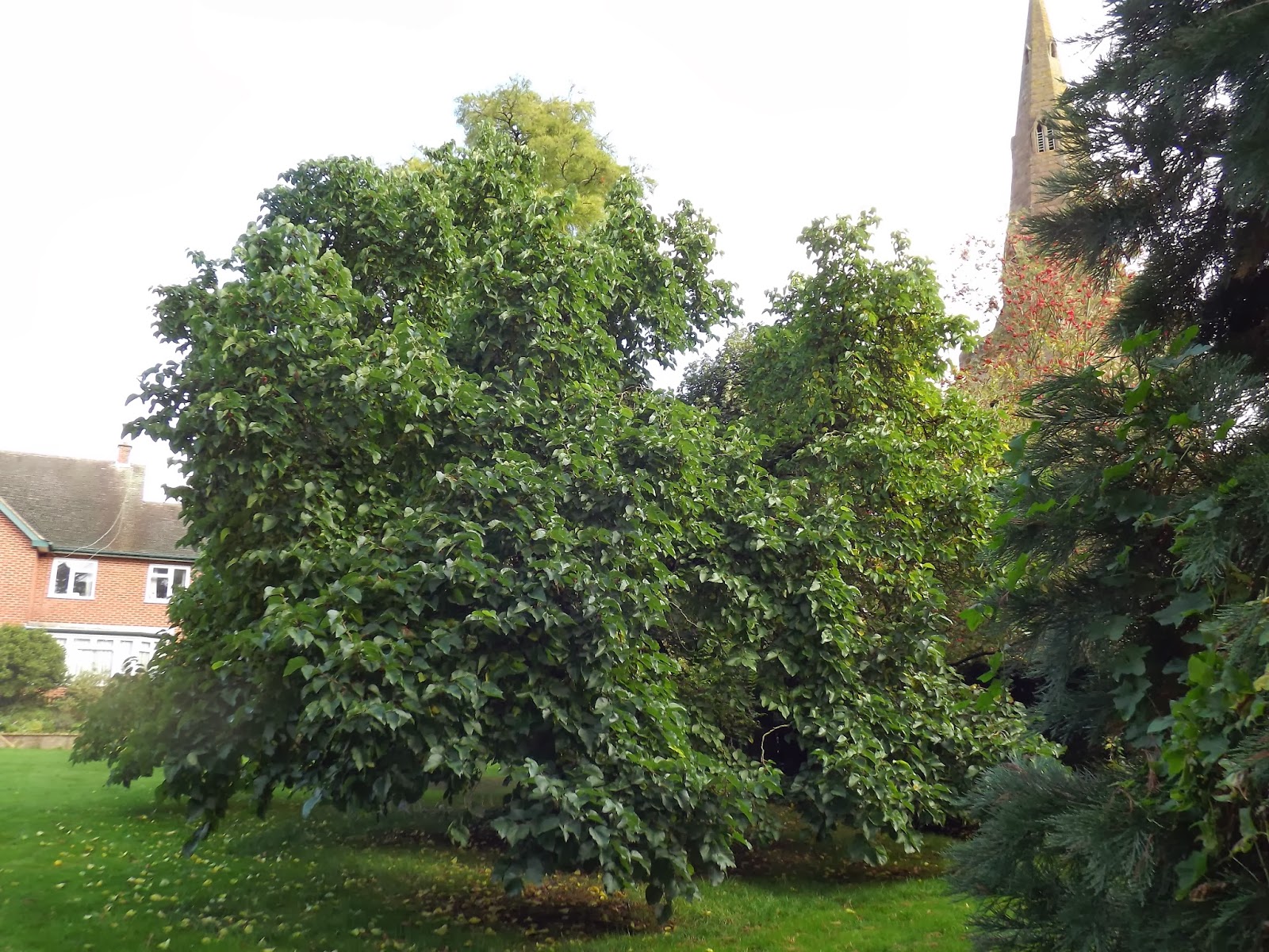 All Saints Word And now for something completely impossible...