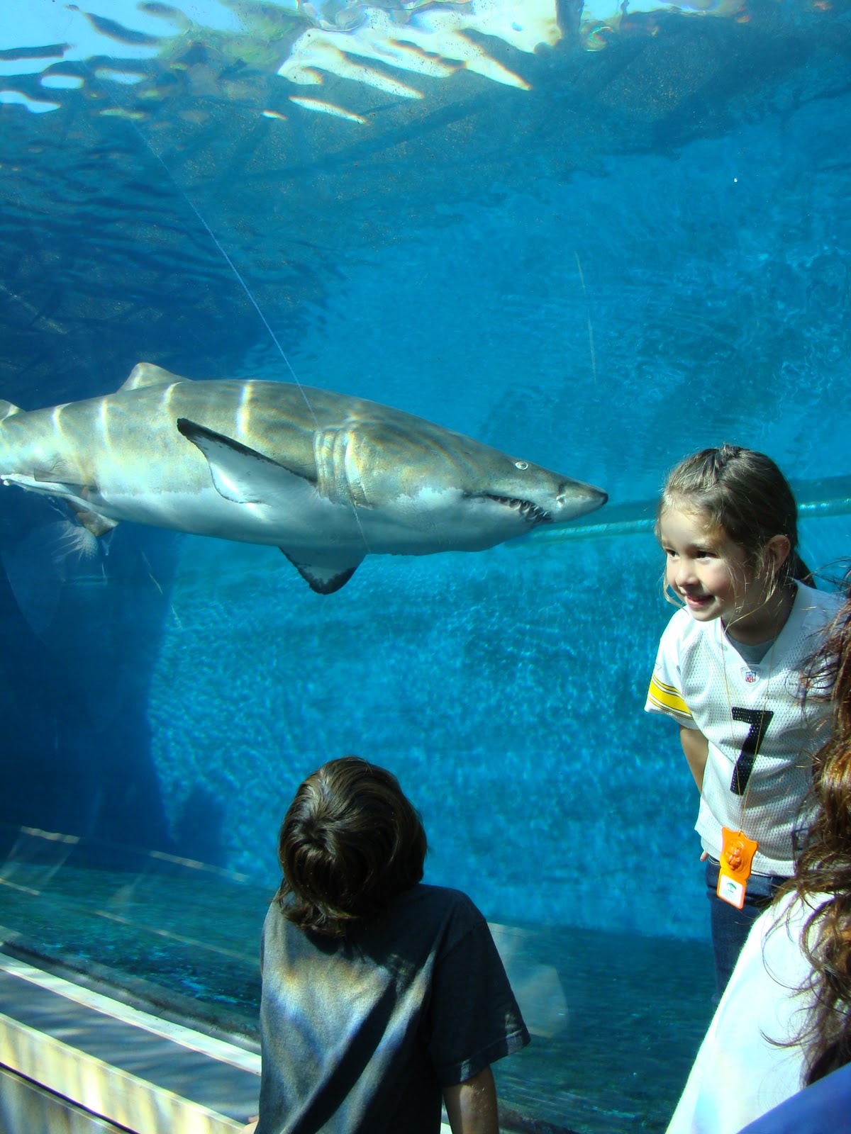 Ppg Aquarium