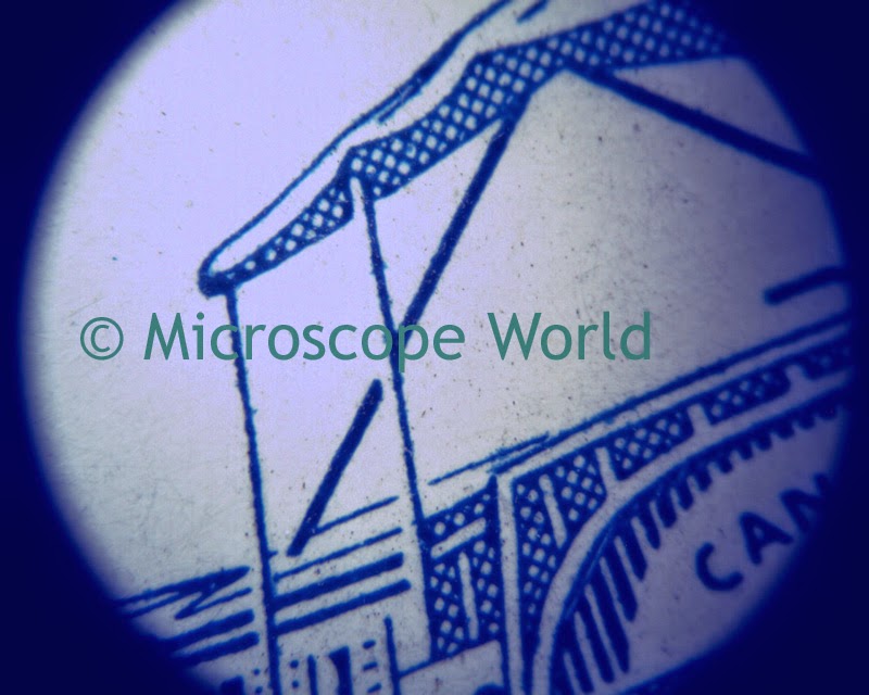 Postage Stamp under stereo microscope