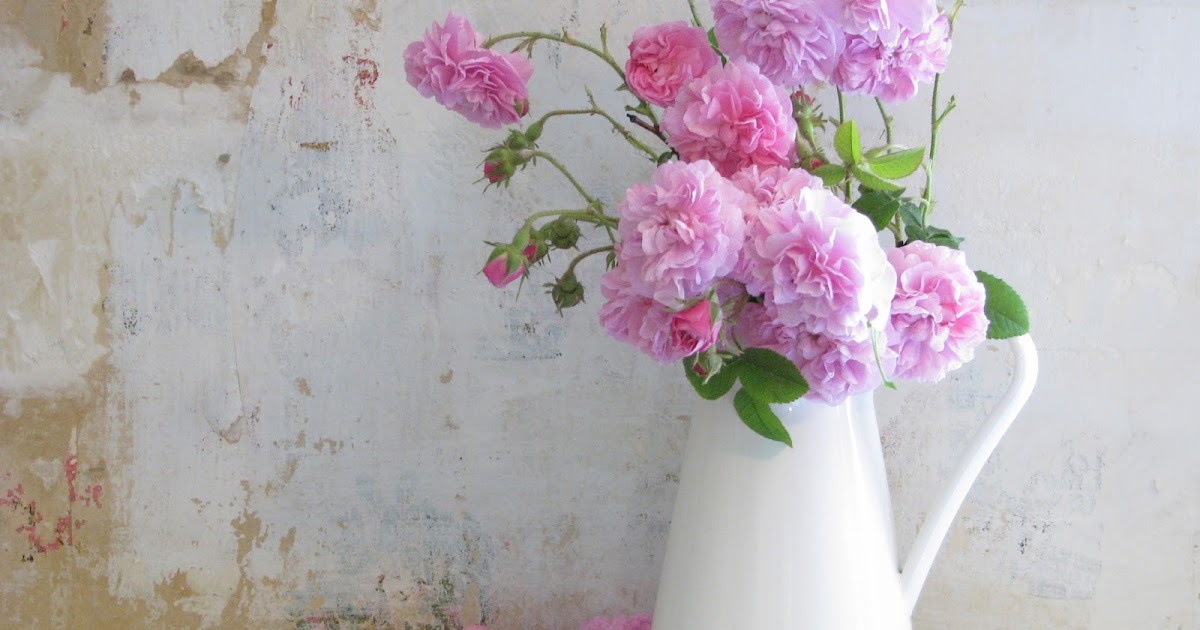 Wayside Treasures: Old wallpaper, roses and HIGH SPEED!!