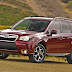 2014 Subaru Forester All View