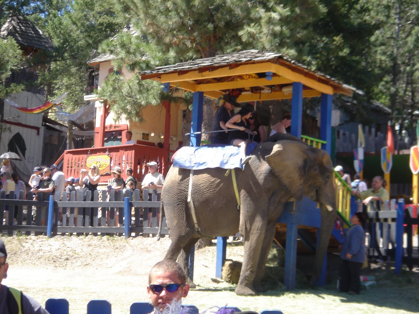 Travel with Us Colorado Renaissance Fair
