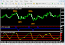 VFX SYSTEM Trading Forex Becomes Easy