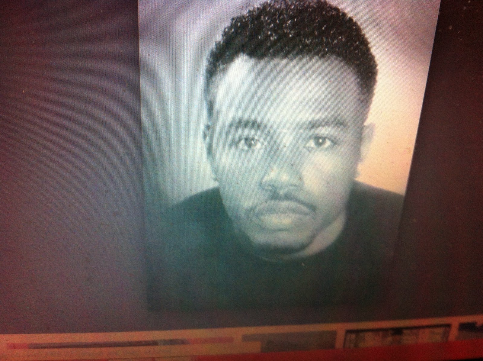 THE BLACK SOCIAL HISTORY BLACK SOCIAL HISTORY AFRICAN AMERICAN