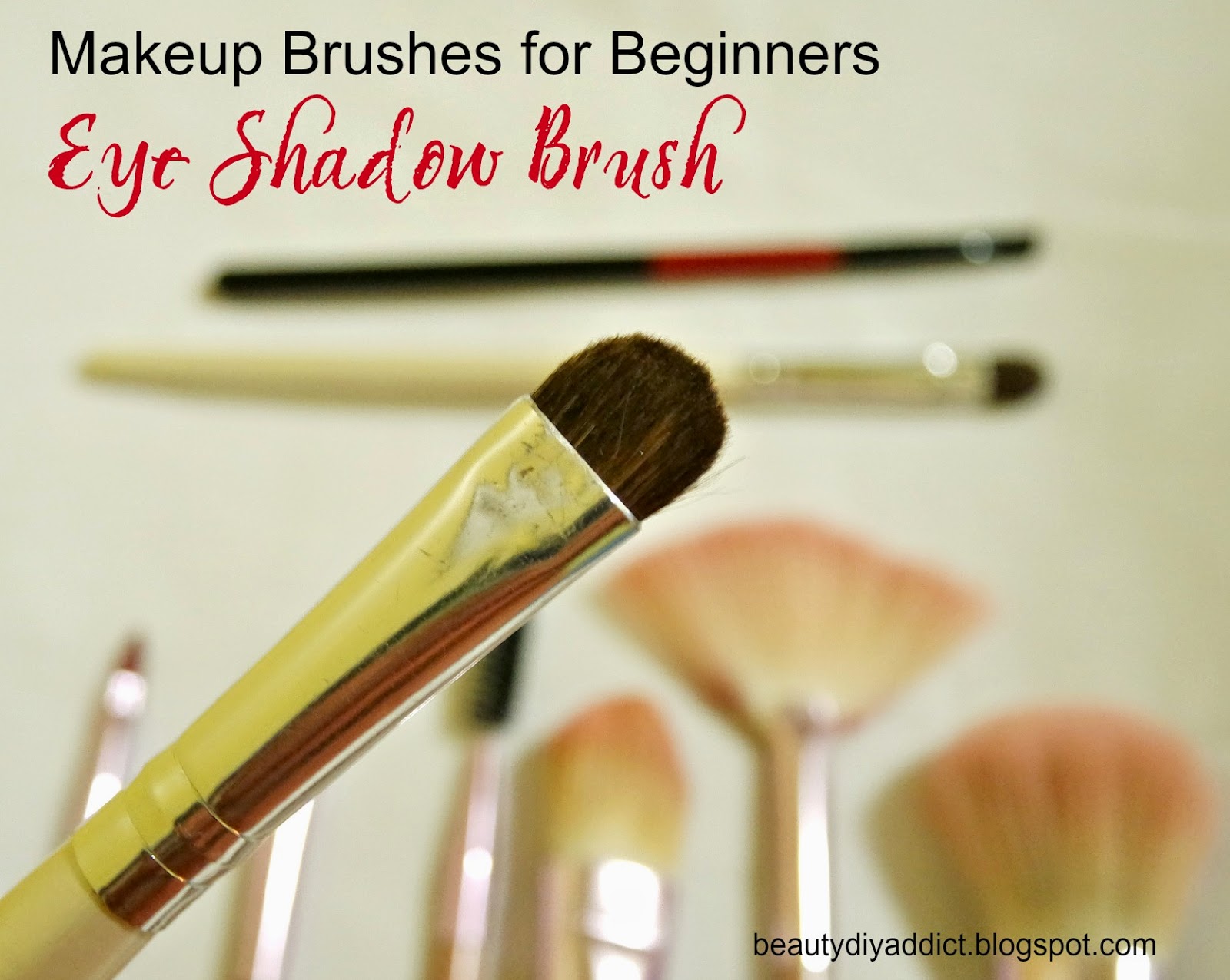 Beauty DIY Addict Makeup Brushes for Beginners