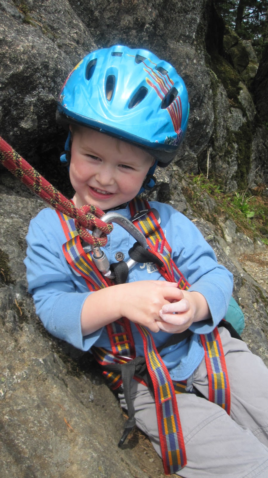 California Homesteading Pesky But Nice Scotch Broom