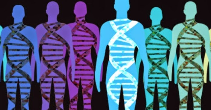 Big Idea 2015: Haute Apothicaire