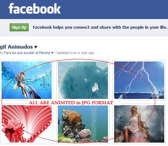 Animated Pictures On Facebook