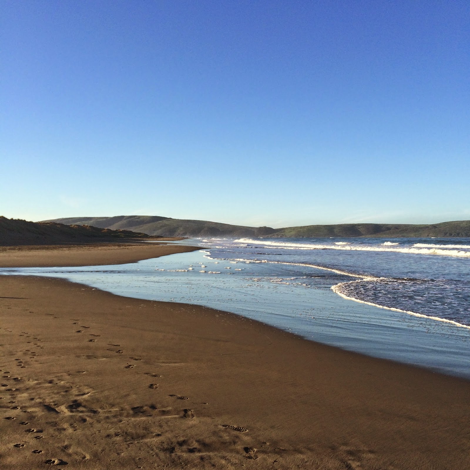 GOLDEN DREAMLAND Favorite Beach Dillon Beach