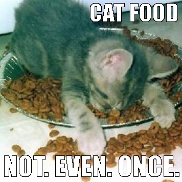 passed out cat in his food for online casino real money campaign