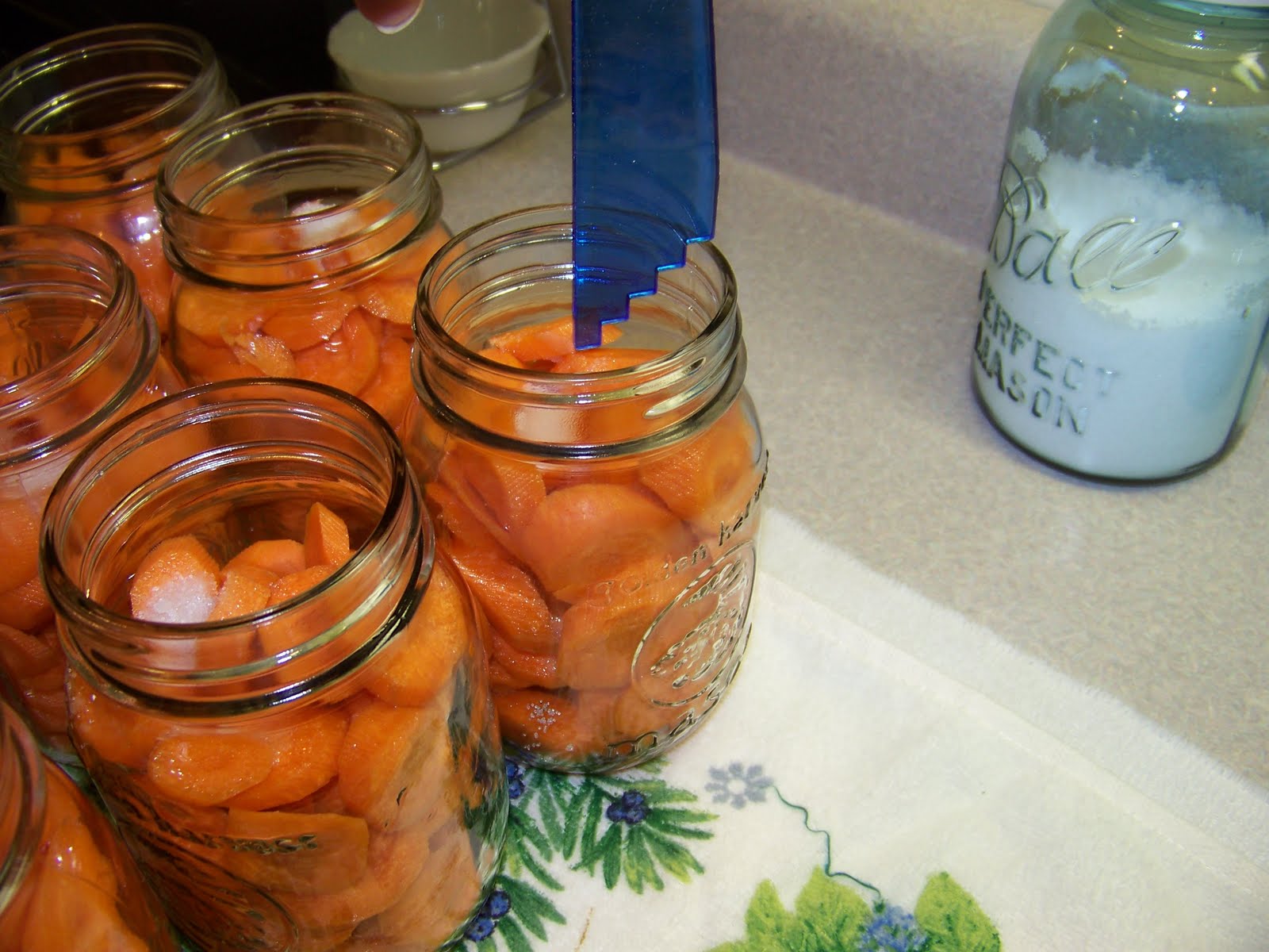 Hickery Holler Farm How to Can Carrots