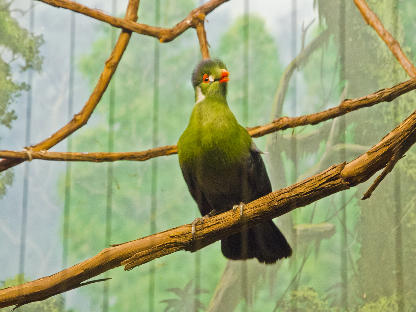 Wisconsin Explorer Henry Vilas Zoo Madison