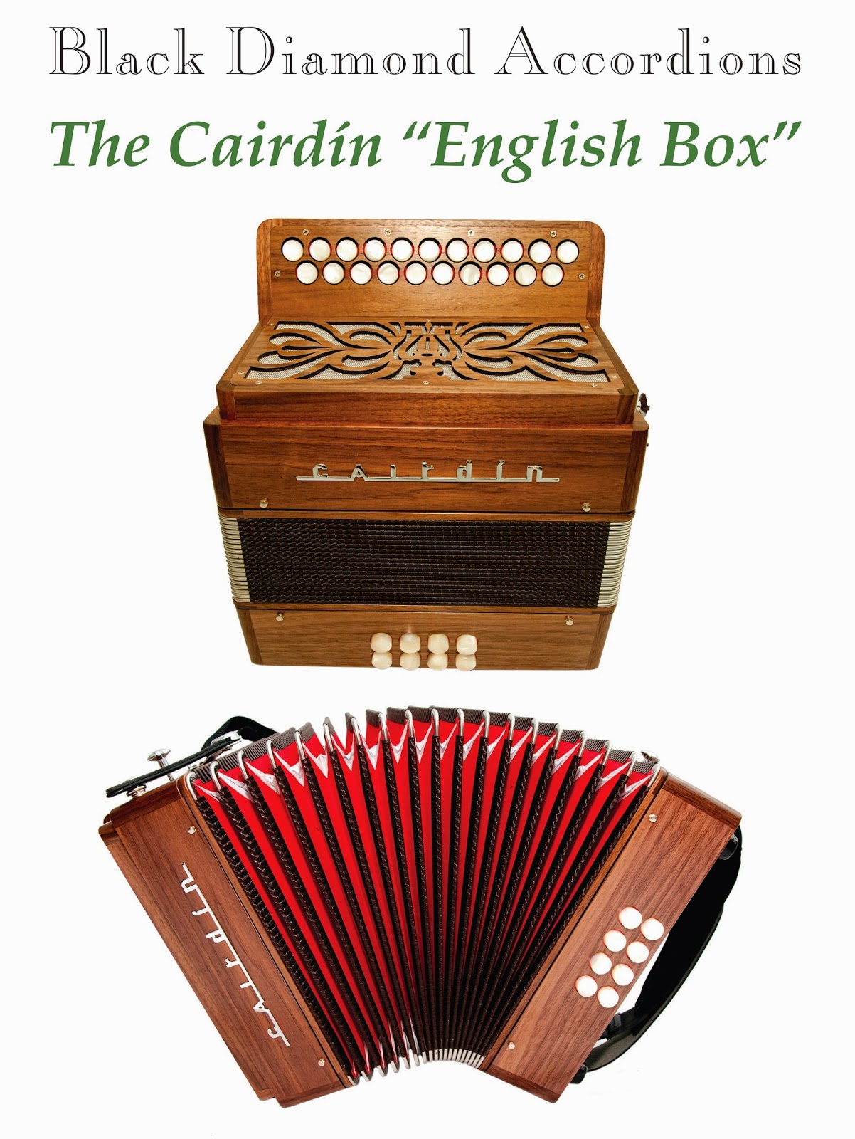 The Black Diamond Accordions Blog The Cairdin "English Box" a new D