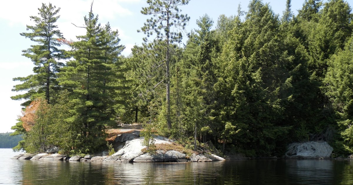 Save Kipawa Lake Kipawa Lake Today