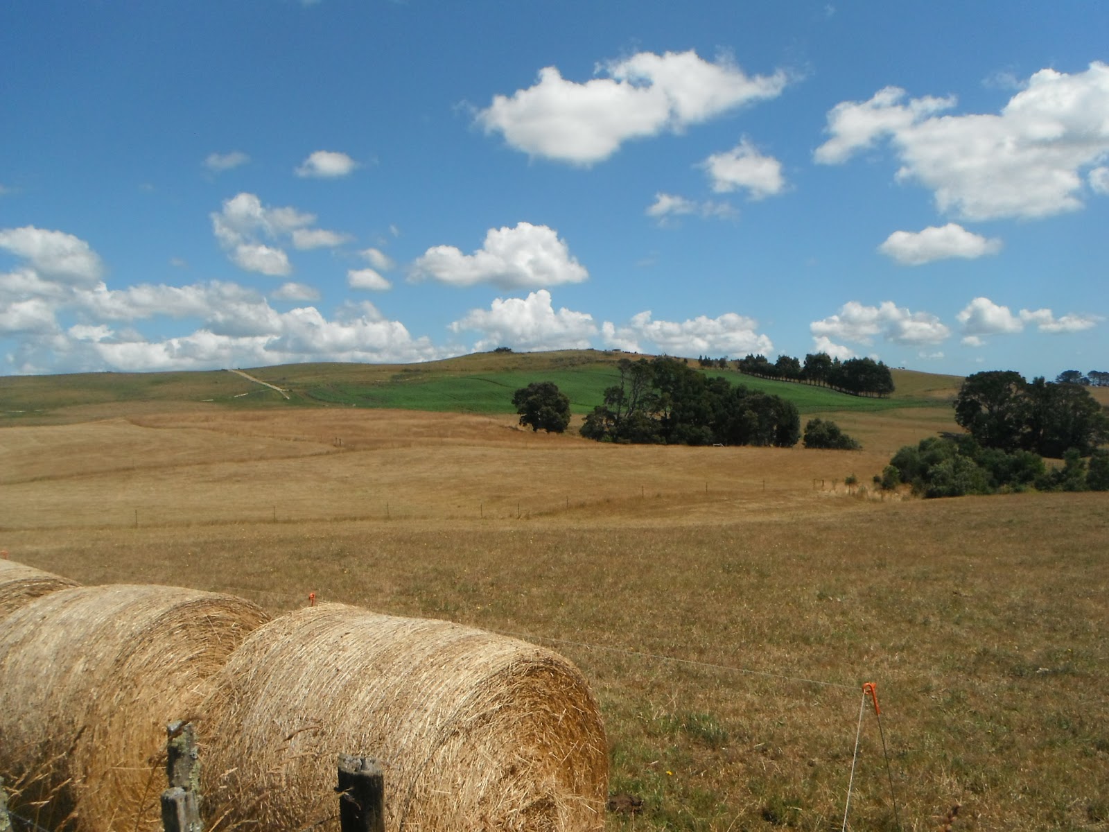 Florinhill+005.JPG