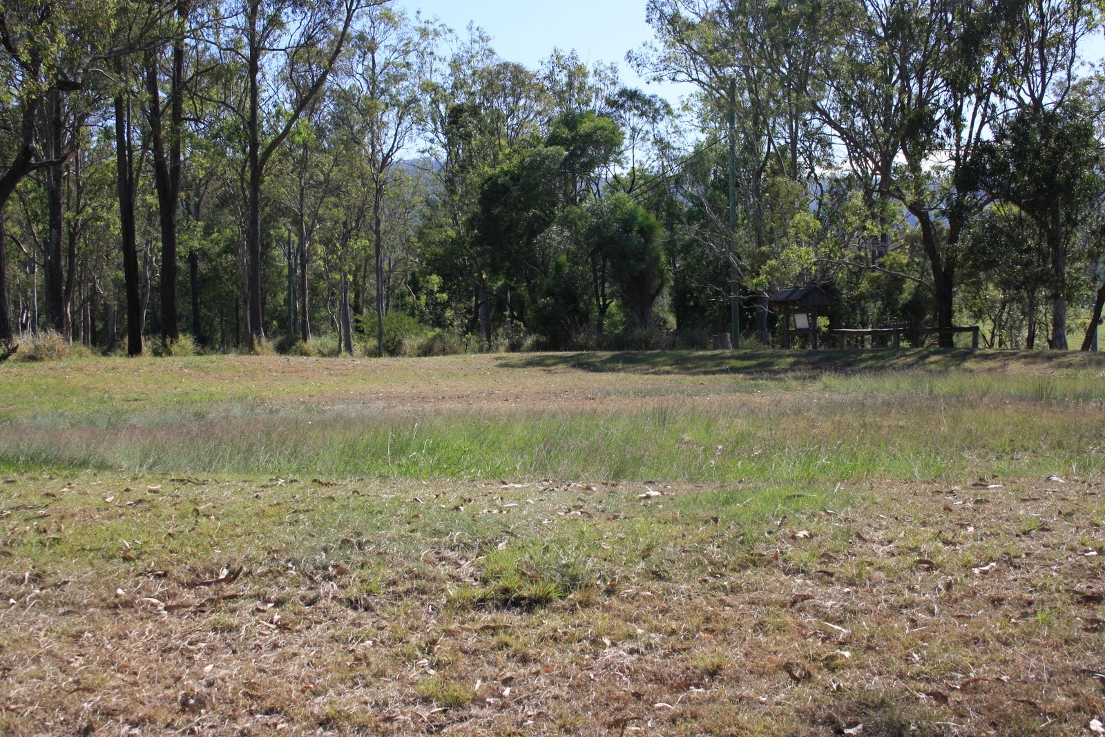 Mik's Random Adventures Bora Ring