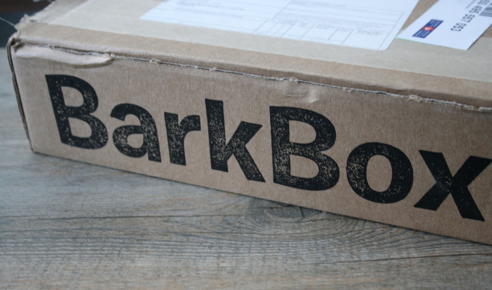 BarkBox Review June 2013 Pet Subscription Box