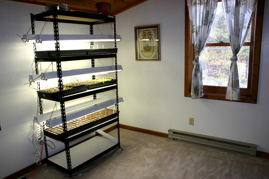 Indoor & Outdoor Gardening in Montana Its Spring Indoors