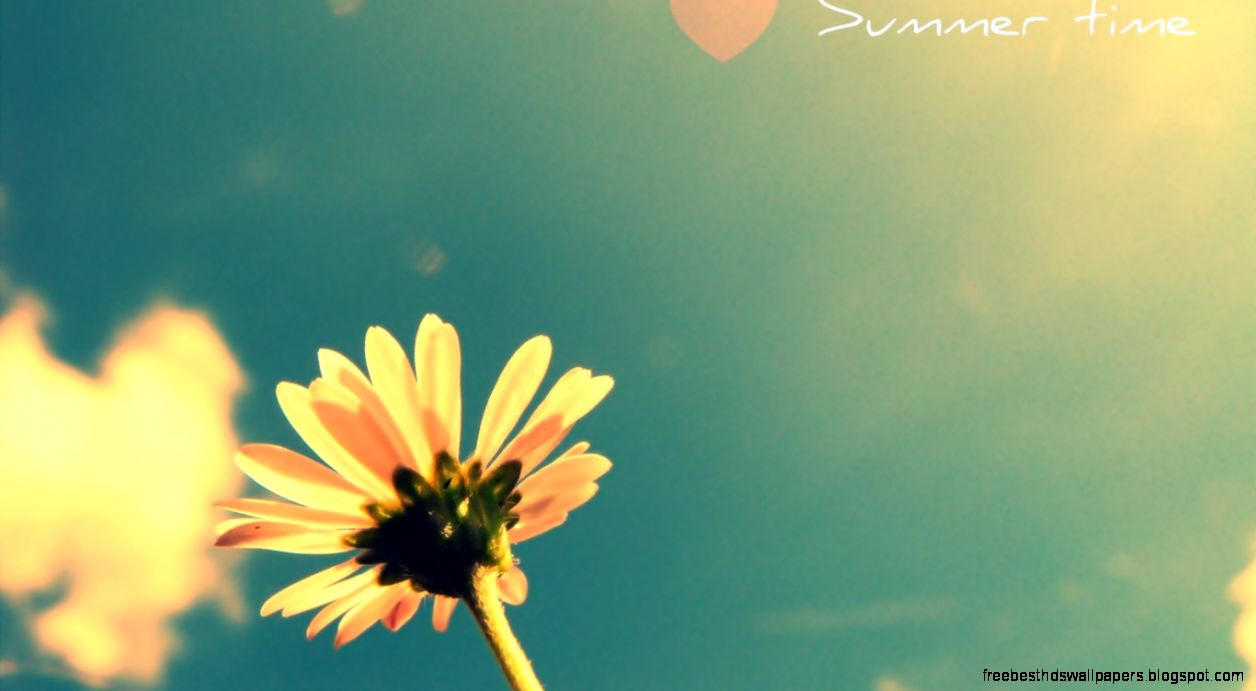 Wallpapers Anime Fantasy Warm The Sky Joy On Pictures D 1366x768 Wallpapers Anime Fantasy Warm The Sky Joy On Pictures D 1366x768