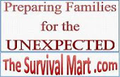 The Survival Mart