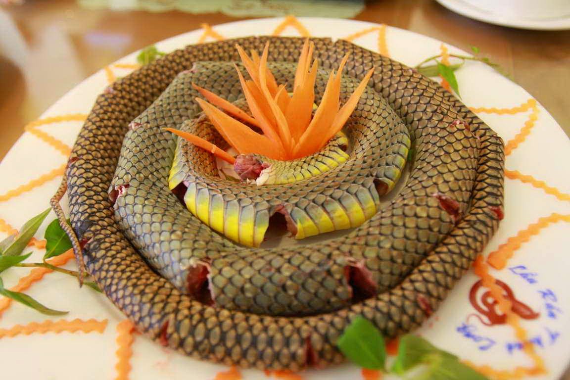 Vietnamese Street Food Strange foods in Vietnam - snake