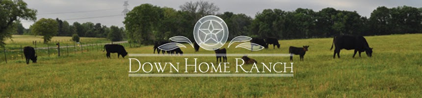 Jerry's Down Home Ranch Blog