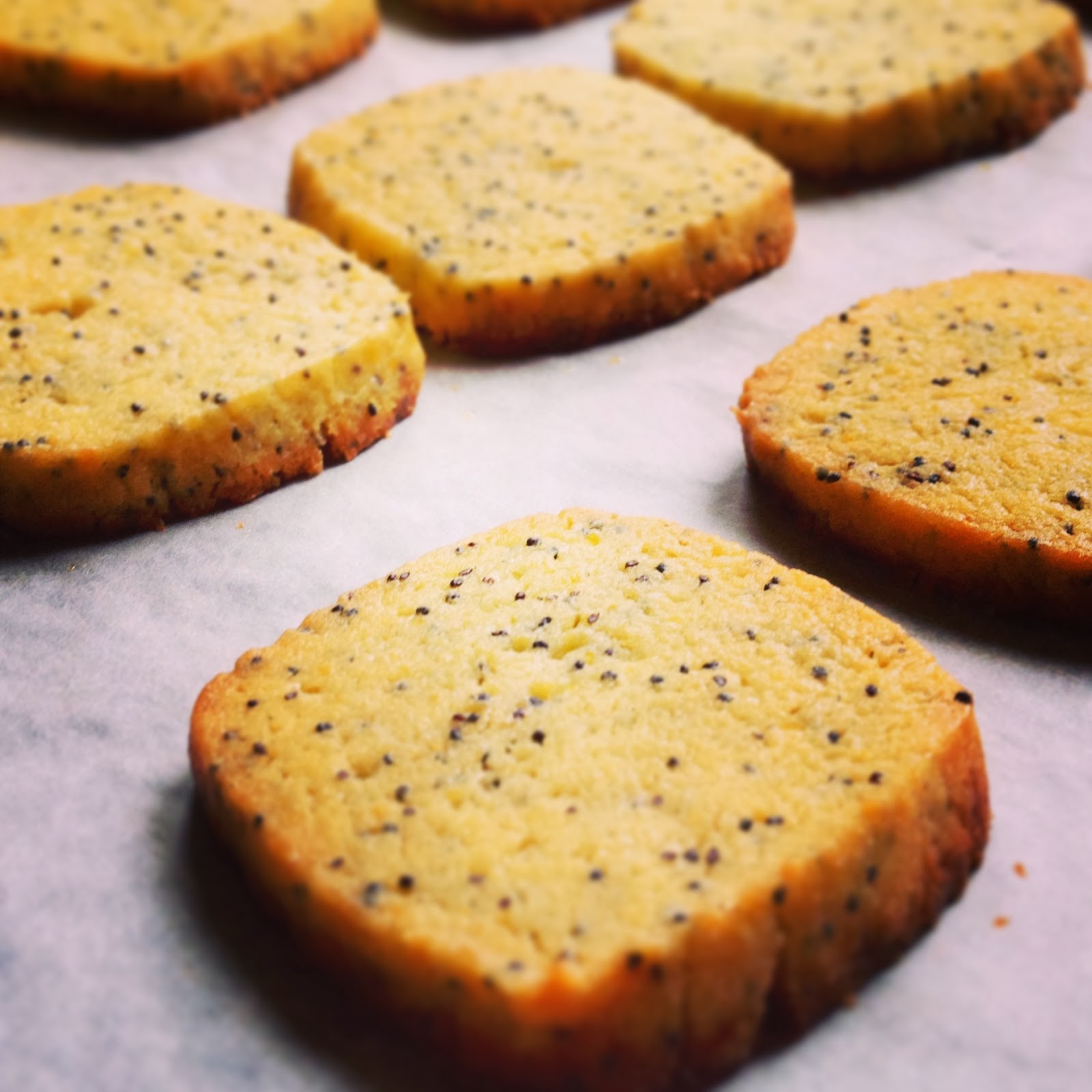 The KitchenMaid Treat me Lemon poppy seed biscuits