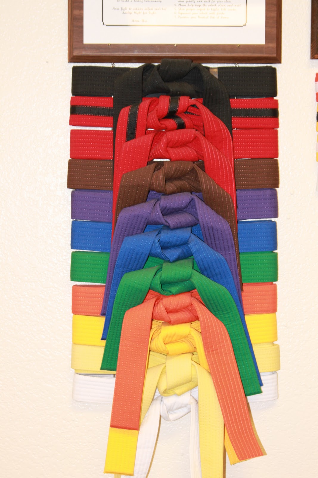 THE LUSTIG FAMILY NICK'S KARATE TEST!! (YELLOW BELT)