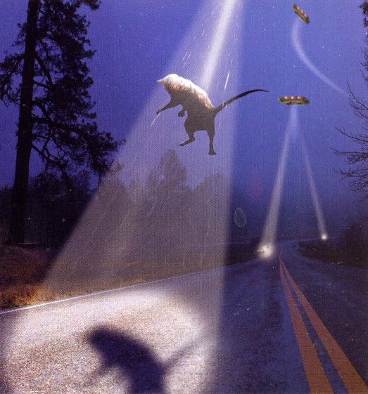 Cada vez que no dejas un comentario...