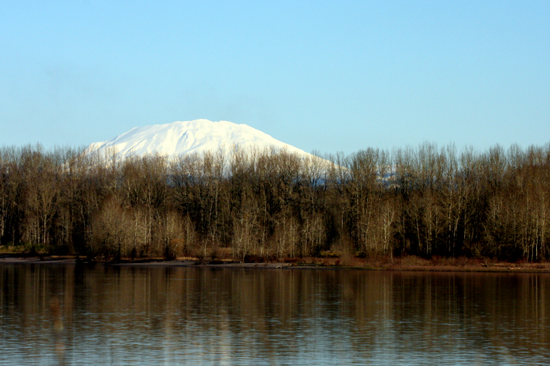 Great Big Open Road Sauvie Island, Oregon...
