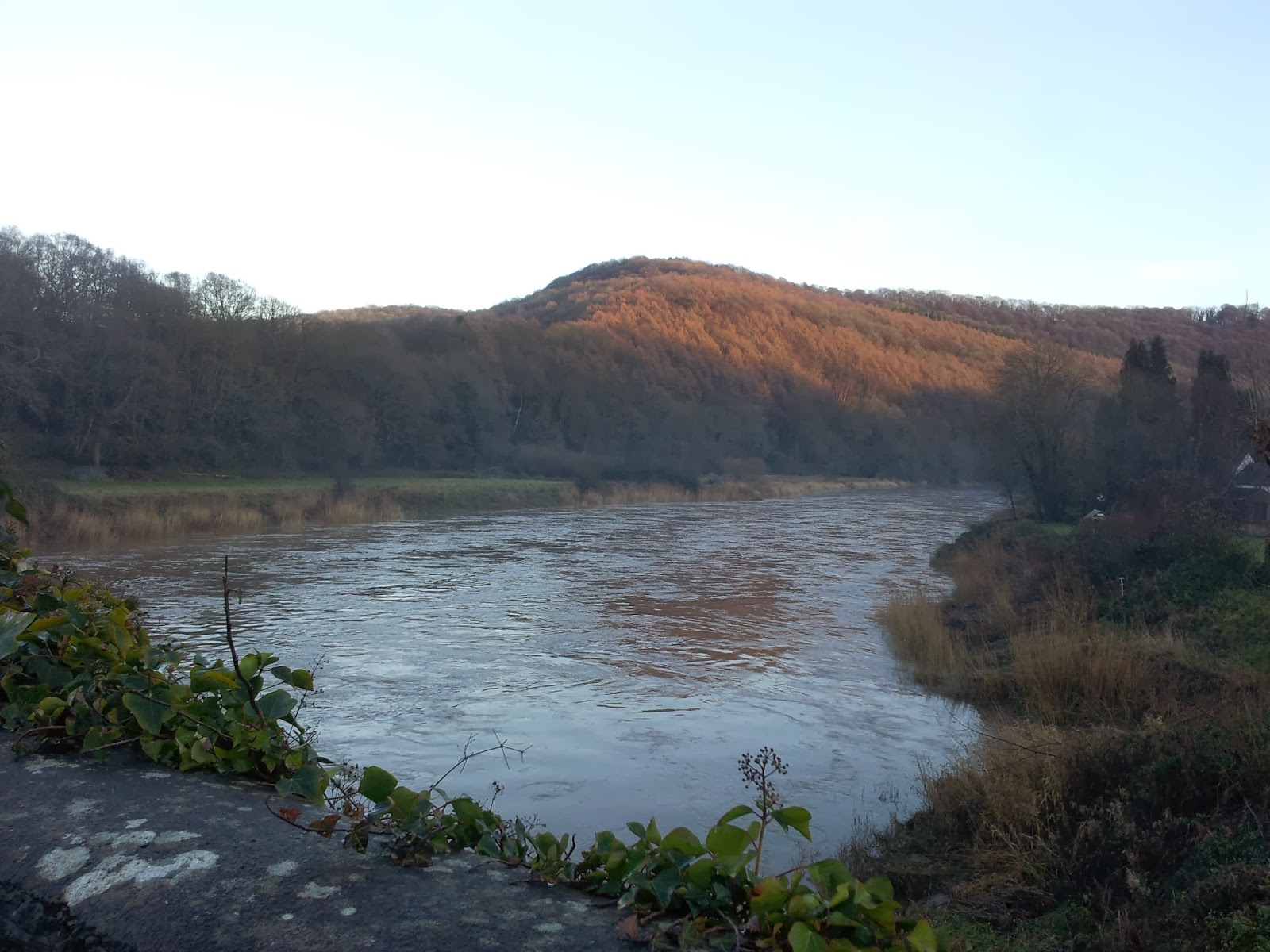River Wye near Tintern