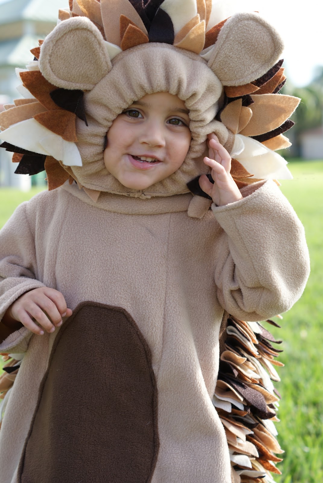 I Hold All The Cards Hedgehog Costumes