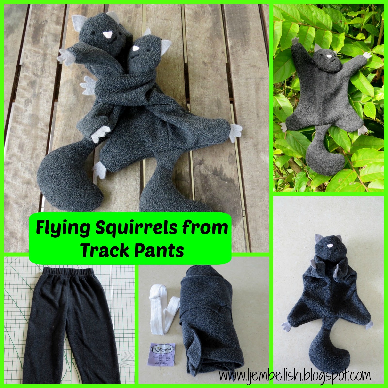 Creating my way to Success Flying squirrels from trackpants a