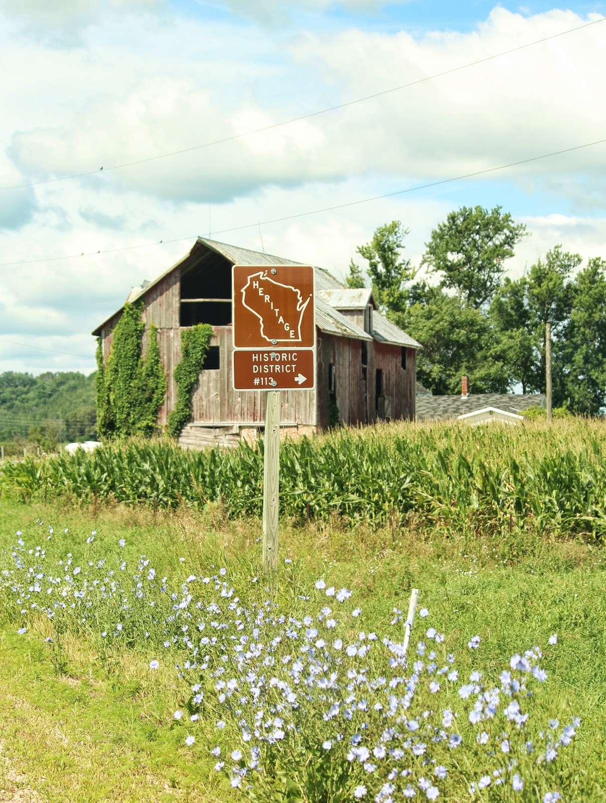 Wisconsin Historical Markers Heritage 113 Historic District (Mazomanie)