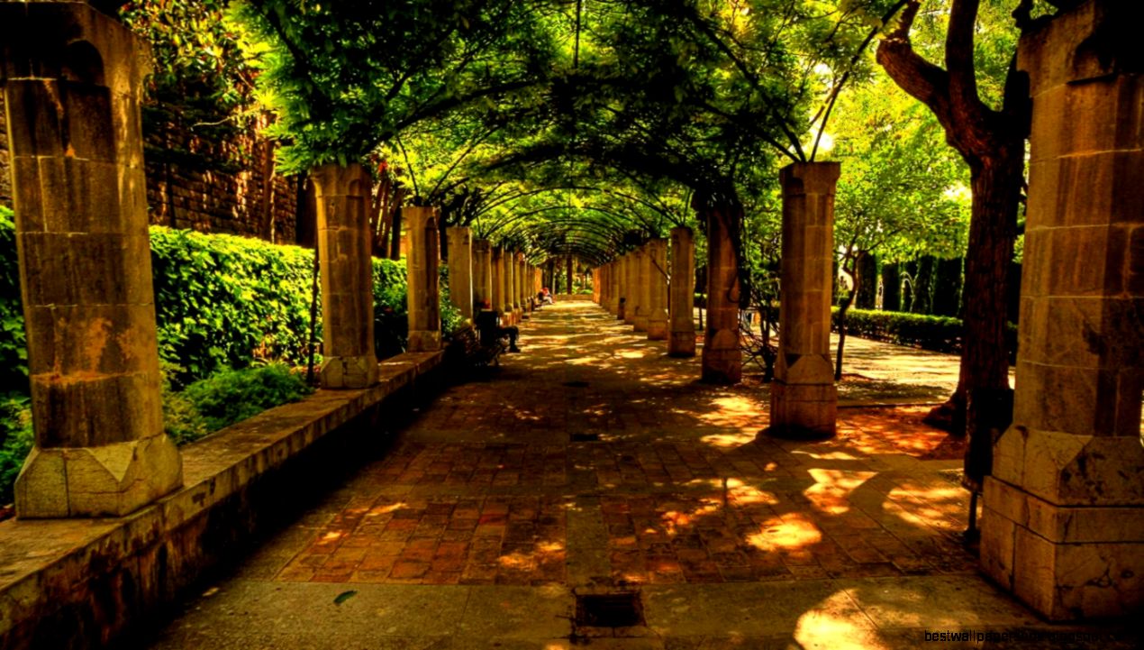 download free wallpaper download free wallpaper