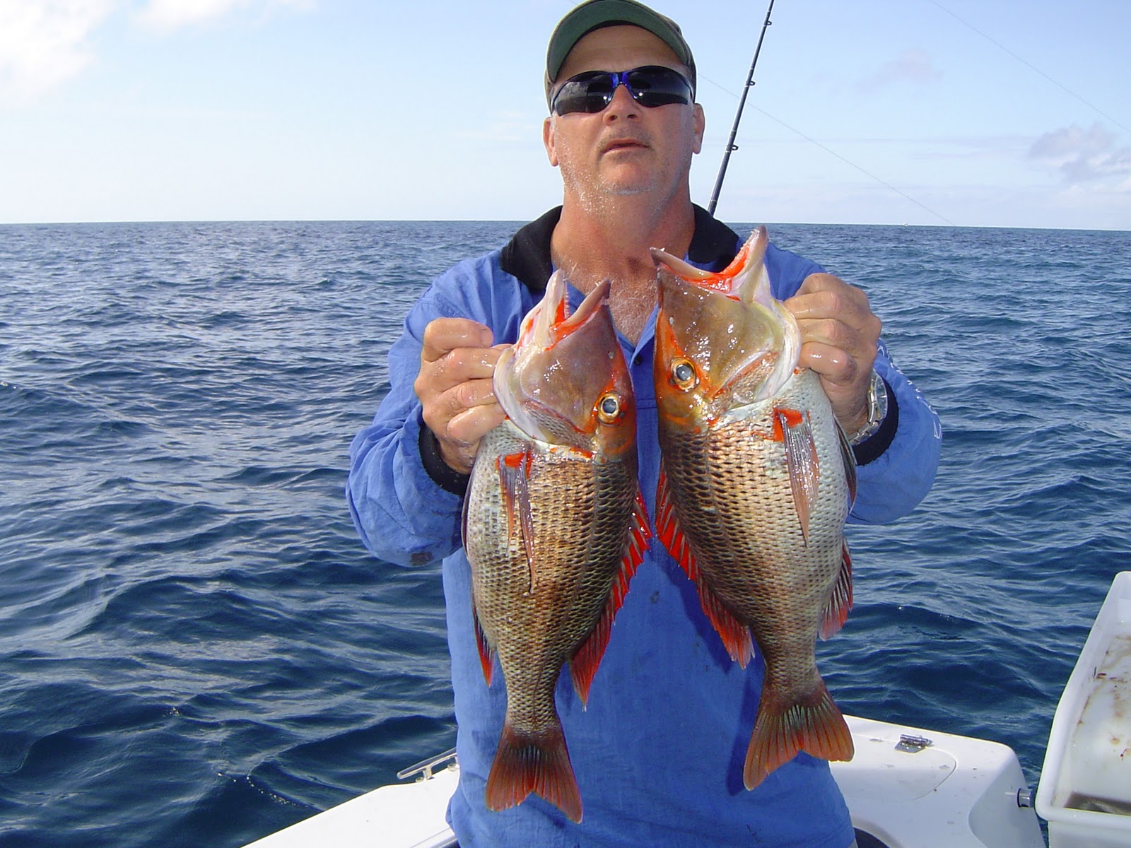 Rock Cod Images