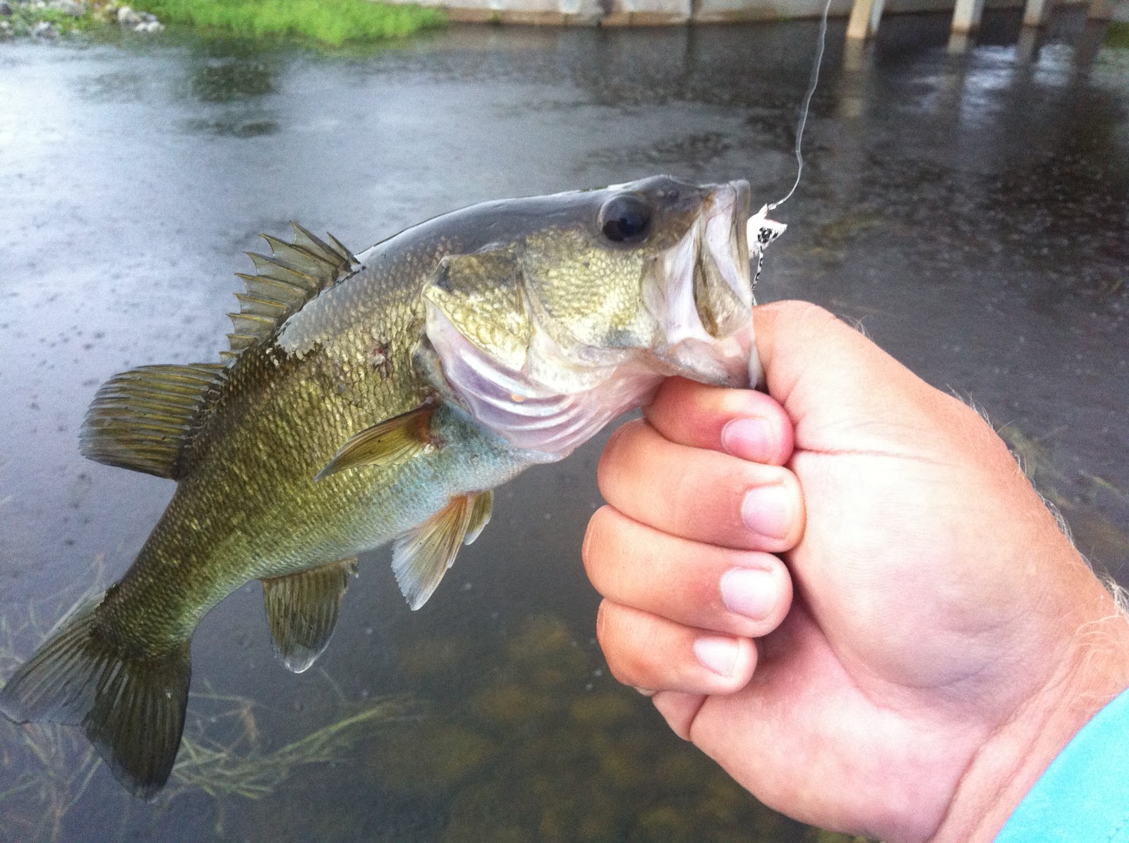 A Popper