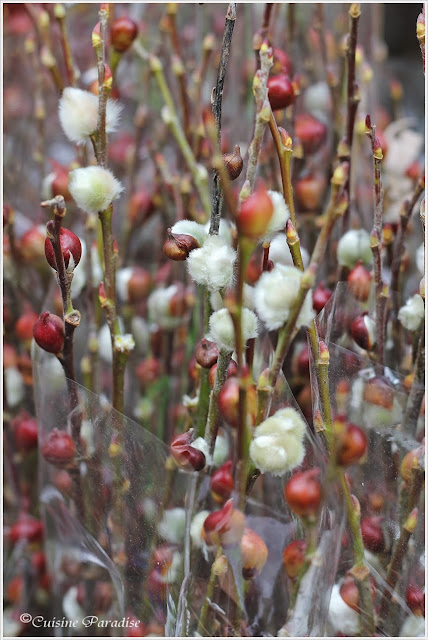 Cuisine Paradise | Singapore Food Blog | Recipes, Reviews And Travel