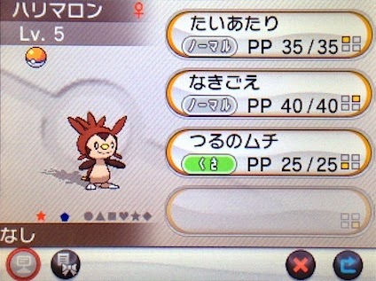 Iro Blog 14