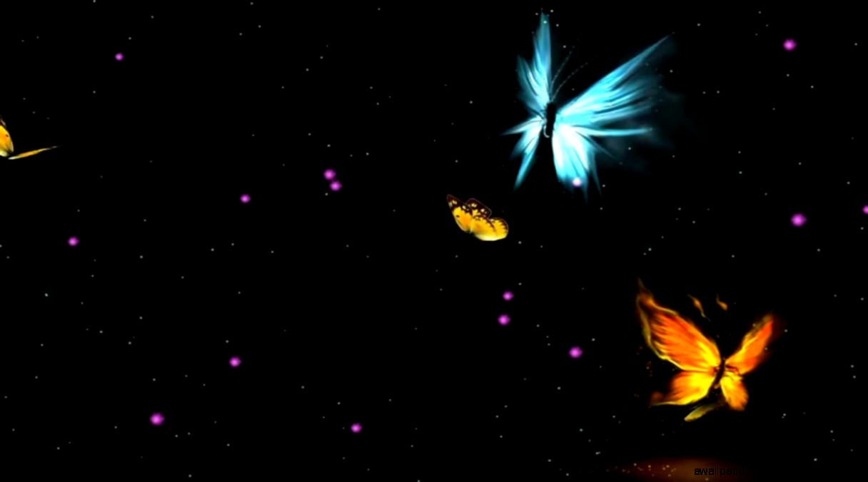 Fantastic Butterfly Animated Wallpaper animated Fantastic Butterfly Animated Wallpaper animated