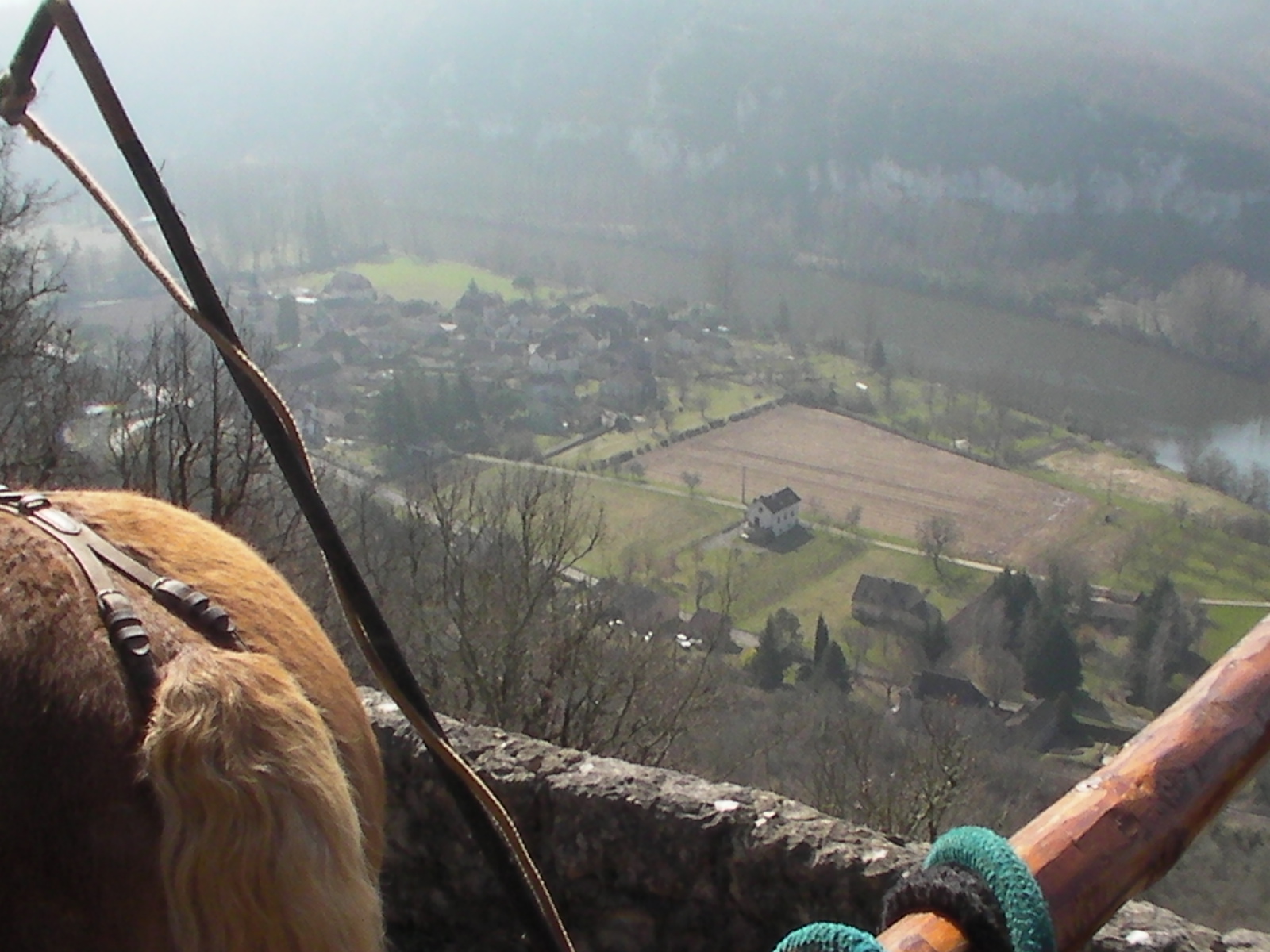 rencontre simplicité volontaire