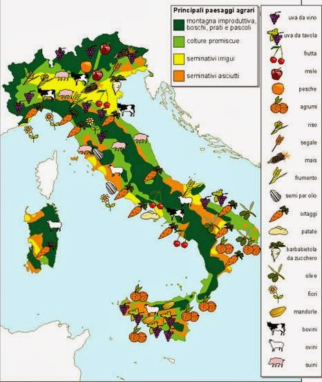 Carti De Geografie Anticariat