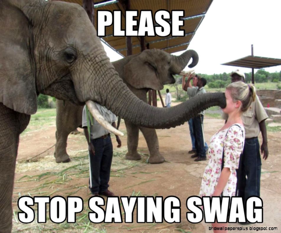 30 Funny animal captions part 8 30 pics Amazing Creatures 30 Funny animal captions part 8 30 pics Amazing Creatures