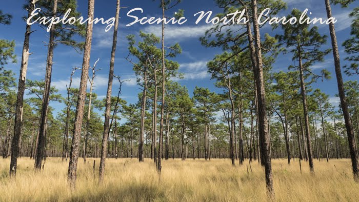 Exploring Scenic North Carolina