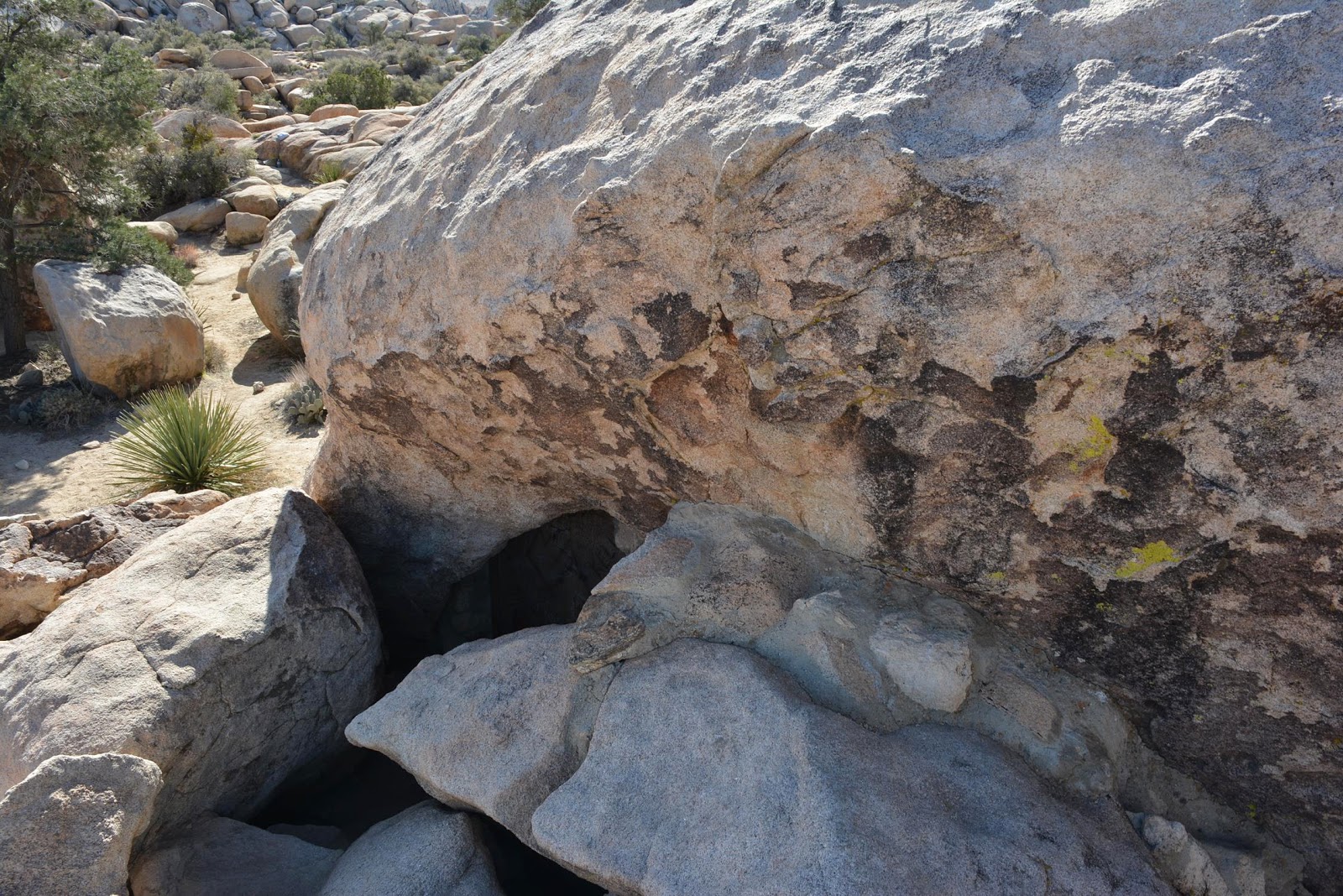 Patrick Tillett Iron Door Cave Joshua Tree National Park