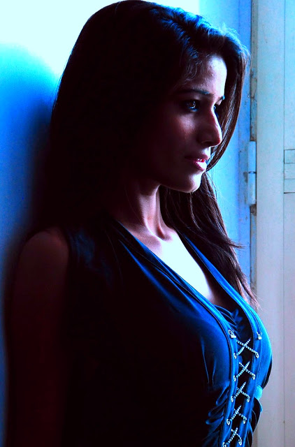 Poonam Pandey Hot Photos, Biography, Movie Stills & Sensual Wallpapers