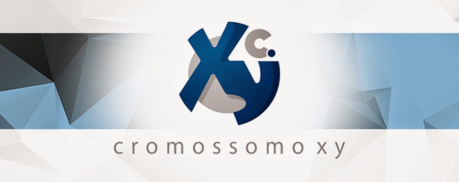 Cromossomo XY