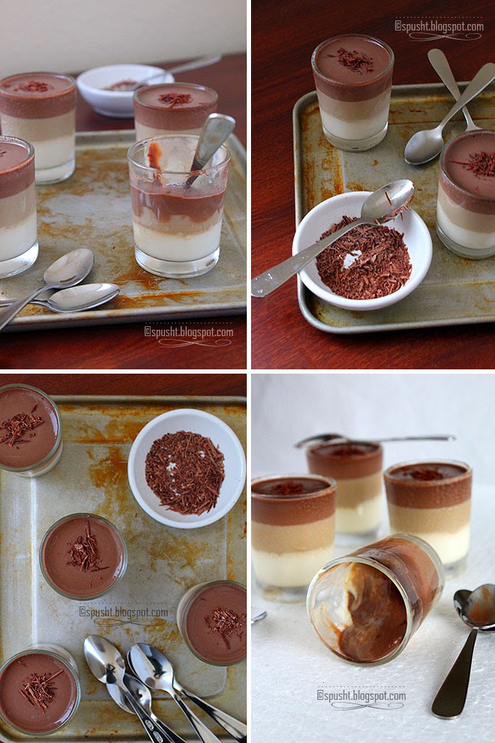 Spusht Layered Vanilla and Chocolate Pudding Eggless Dessert