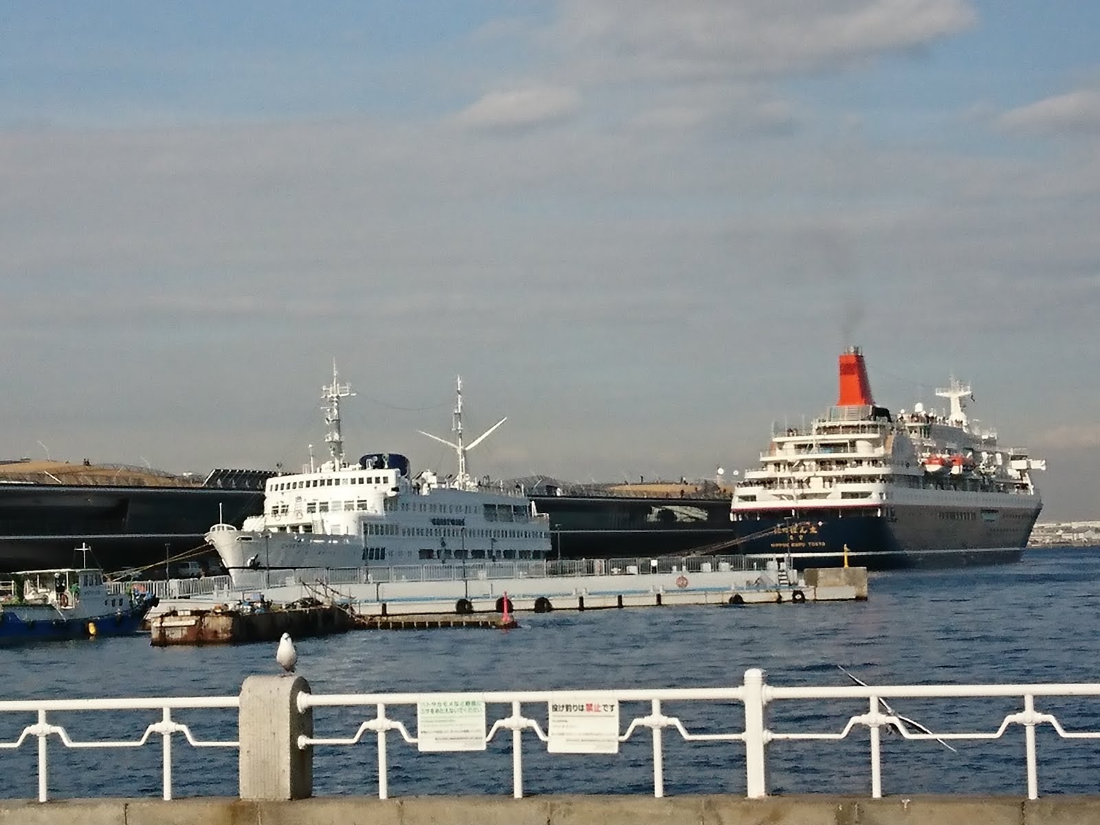 八木東一のブログ 1 29 山下公園から大さん橋に泊っていた２隻の船を見た ２隻とも晴れた天気の元気持ちよさそうに見えた